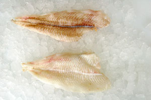 Top Fish Seafood